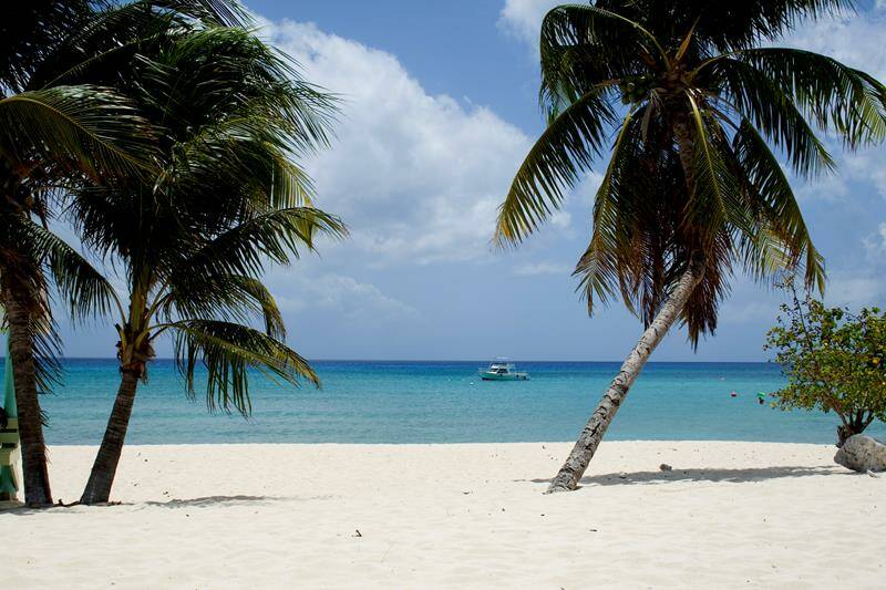 1-cayman-islands-scuba-diving-holiday-beach-800x533-jpg.jpg