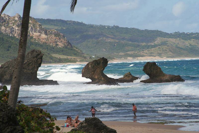 11-barbados-windsurfing-kitesurfing-holiday-beaches-christchurch-800x533-jpg.jpg