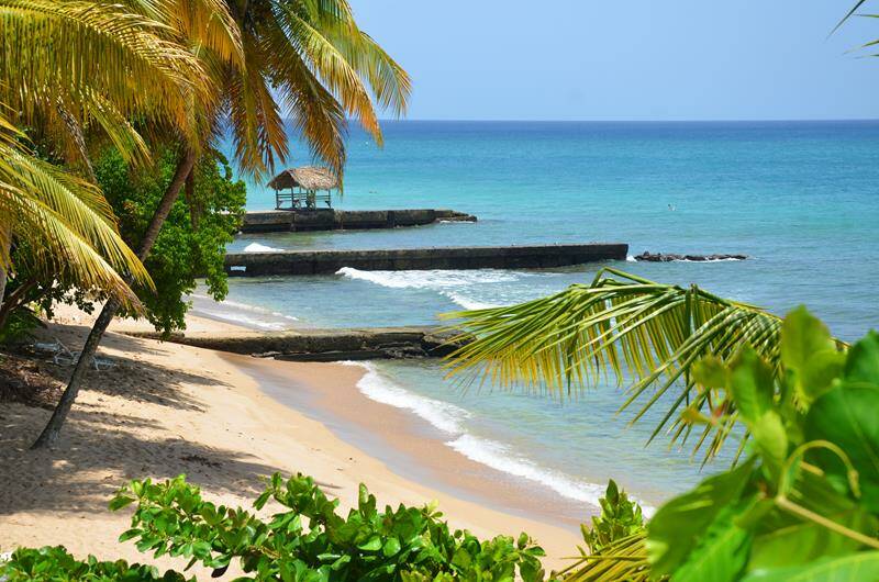 21-tobago-caribbean-windsurf-kitesurf-holiday-tropikist-hotel-800x530-jpg.jpg